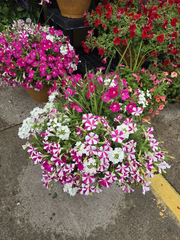 Top-rated yard cleanup service in Dublin, OH - Oakland Nursery