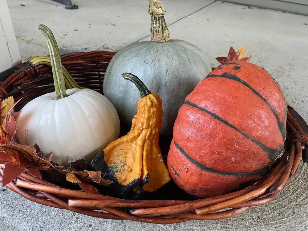 Custom outdoor landscaping in Dublin, OH by Oakland Nursery