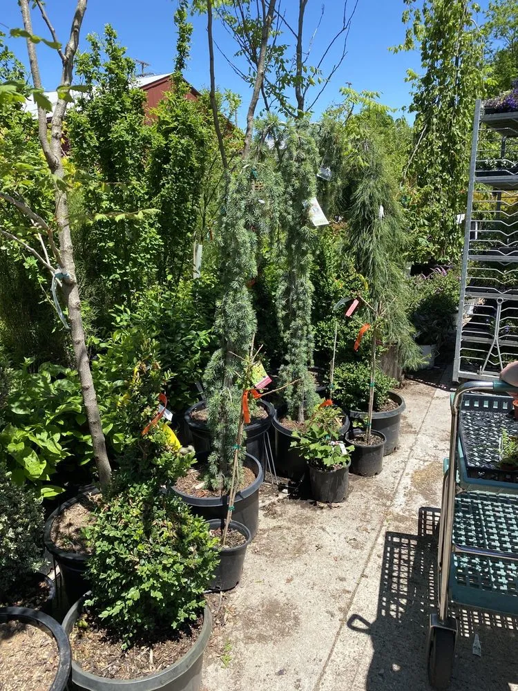 Custom yard maintenance in Dublin, OH - Oakland Nursery