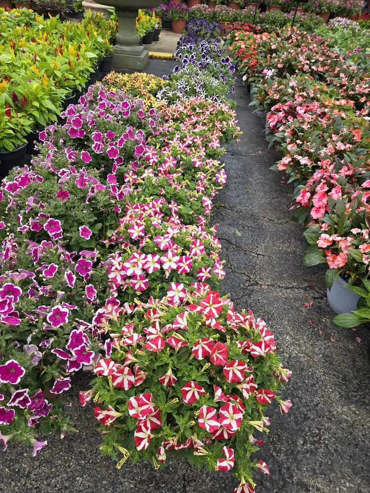 Expert lawn care service in Dublin, OH by Oakland Nursery