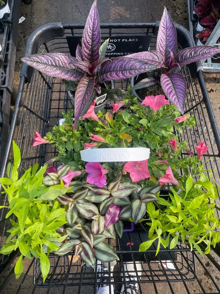 Expert lawn mowing service experts serving Dublin, OH - Oakland Nursery