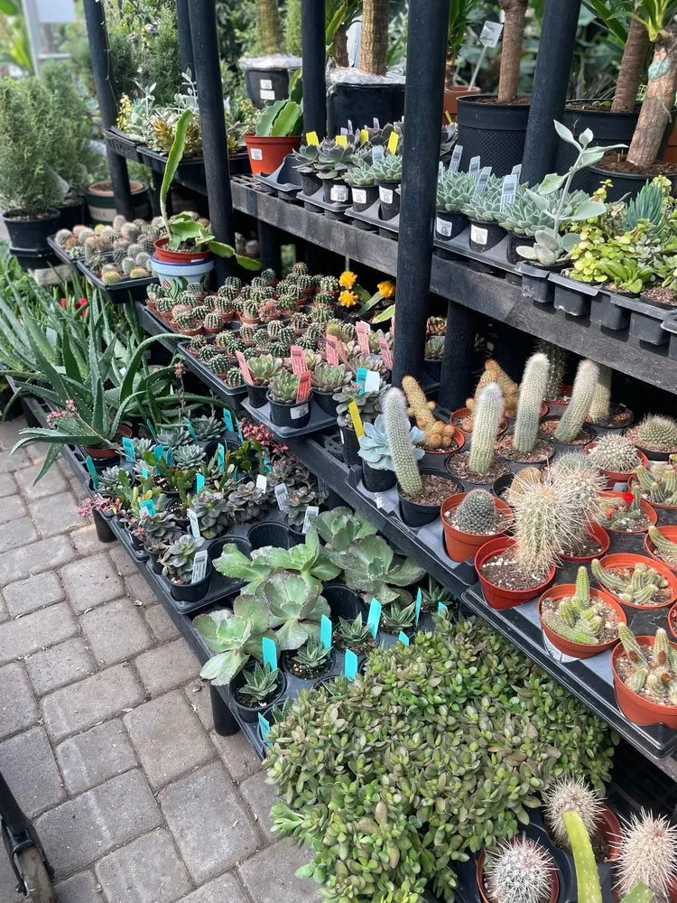 Professional residential landscaping in Dublin, OH by Oakland Nursery