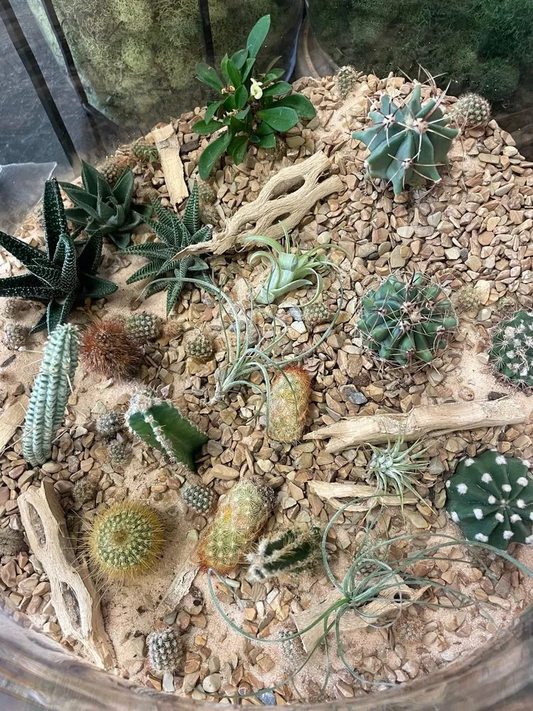 Affordable yard maintenance in Dublin, OH by Oakland Nursery