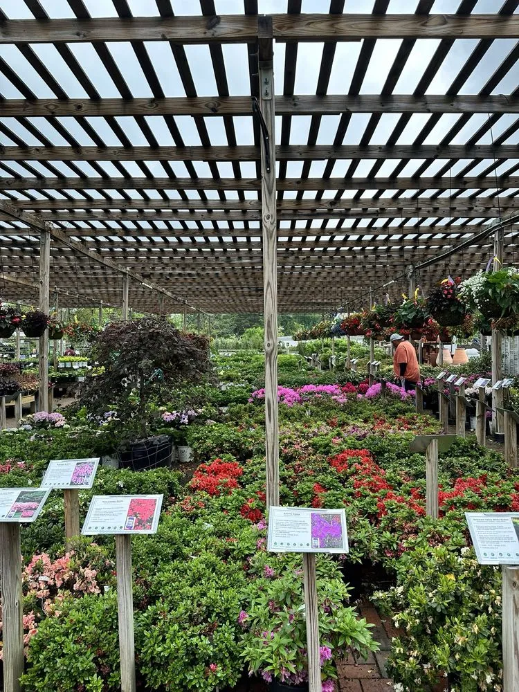 Top-rated residential landscaping for beautiful yards across New Albany, OH - Oakland Nursery