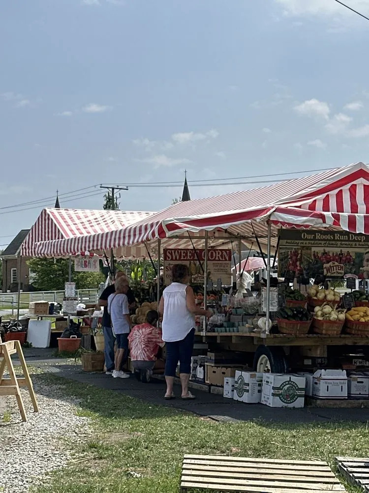 Expert yard cleanup service in New Albany, OH by Oakland Nursery