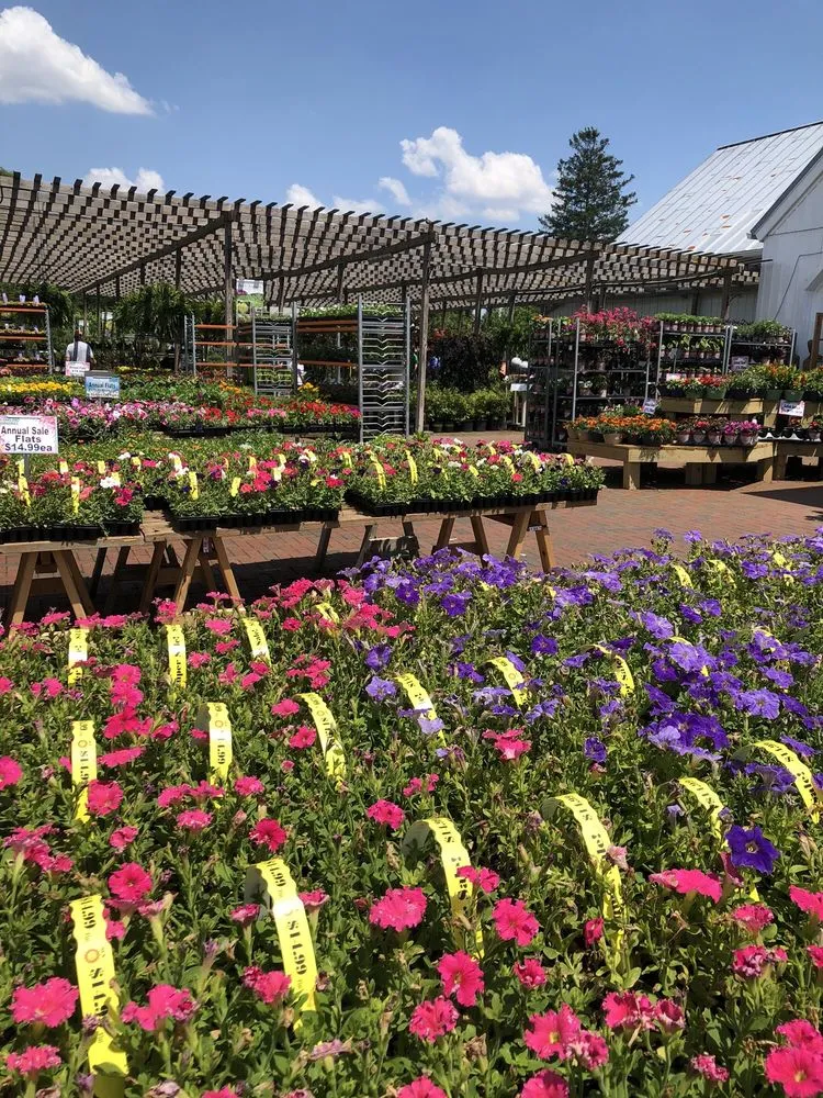 Professional landscaping services in New Albany, OH - Oakland Nursery