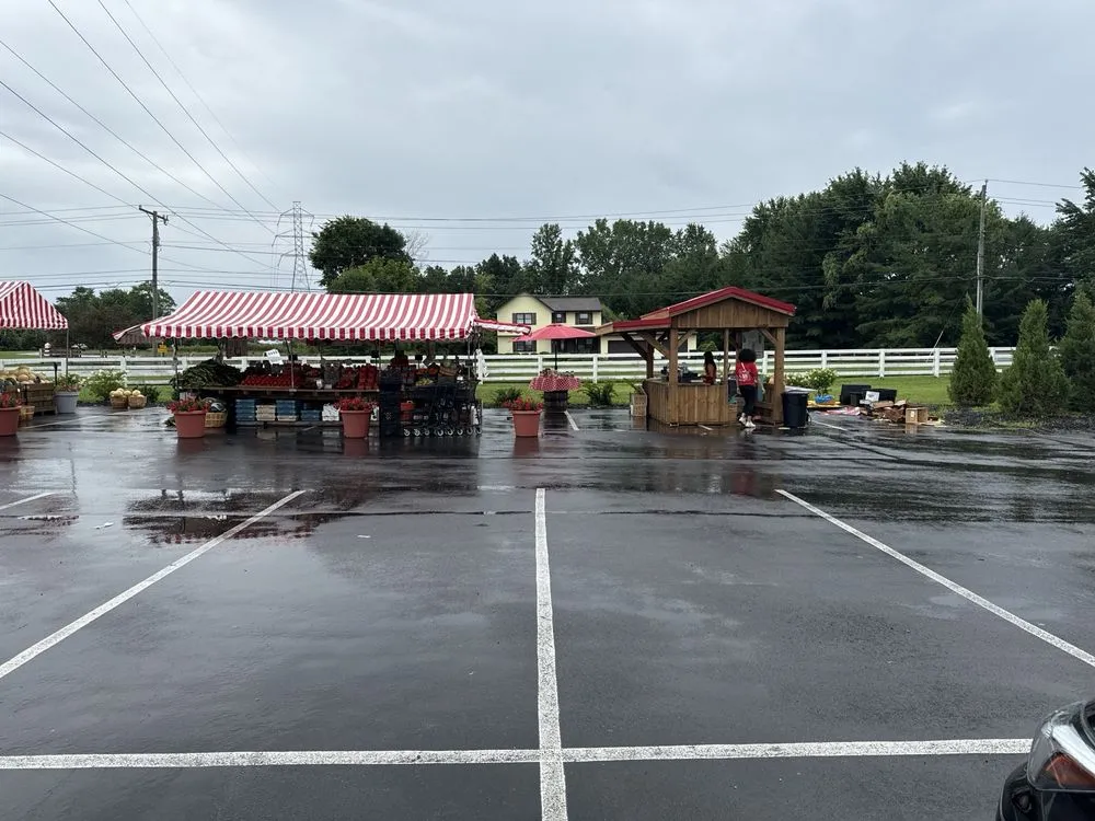 Custom landscaping services with custom design in New Albany, OH by Oakland Nursery