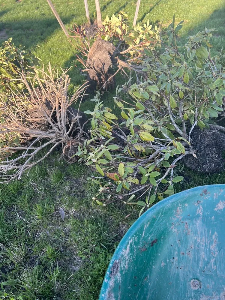 Top-rated garden landscaping for residential properties across New Albany, OH - Oakland Nursery