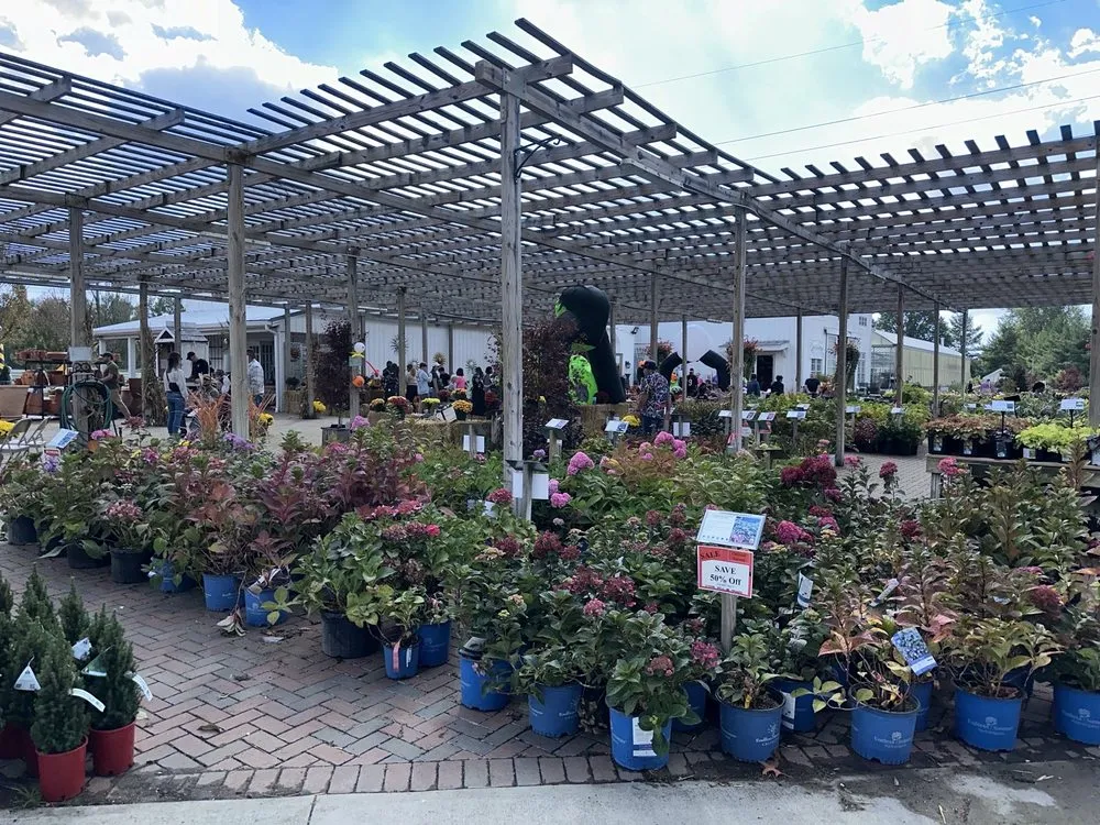 Top-rated landscaping services experts serving New Albany, OH - Oakland Nursery