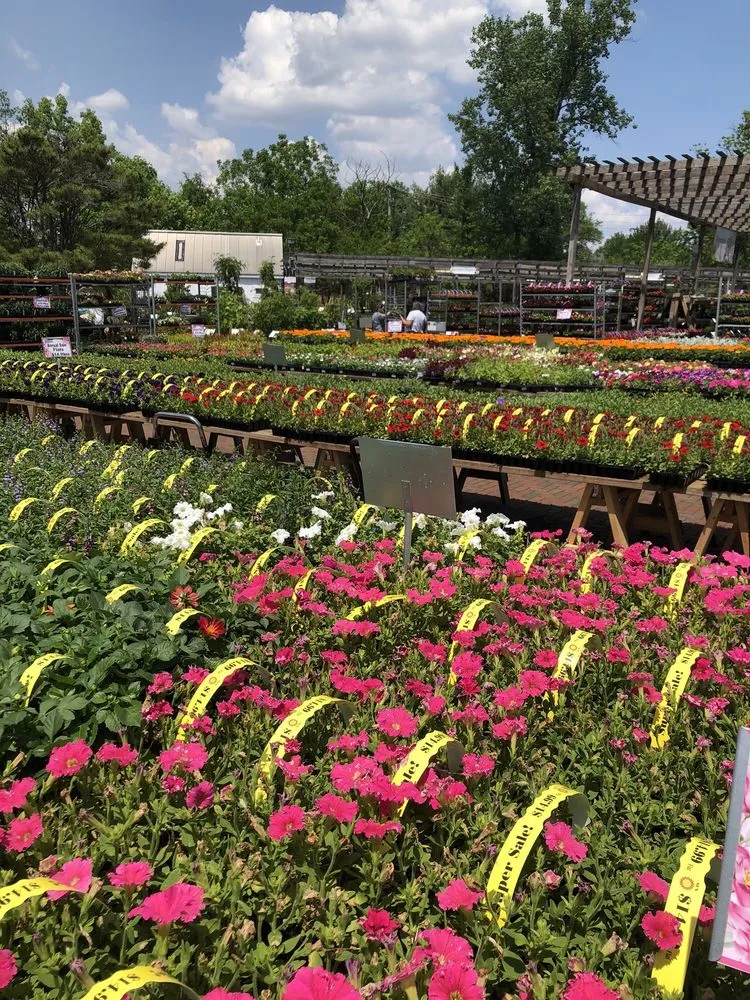 Expert outdoor landscaping in New Albany, OH - Oakland Nursery