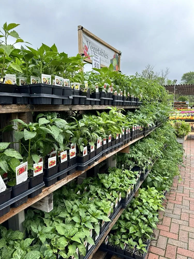 Trusted landscaping services with custom design in New Albany, OH by Oakland Nursery