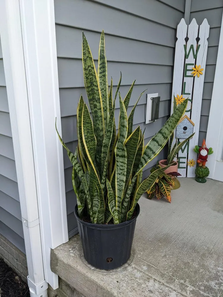 Local garden landscaping in New Albany, OH - Oakland Nursery