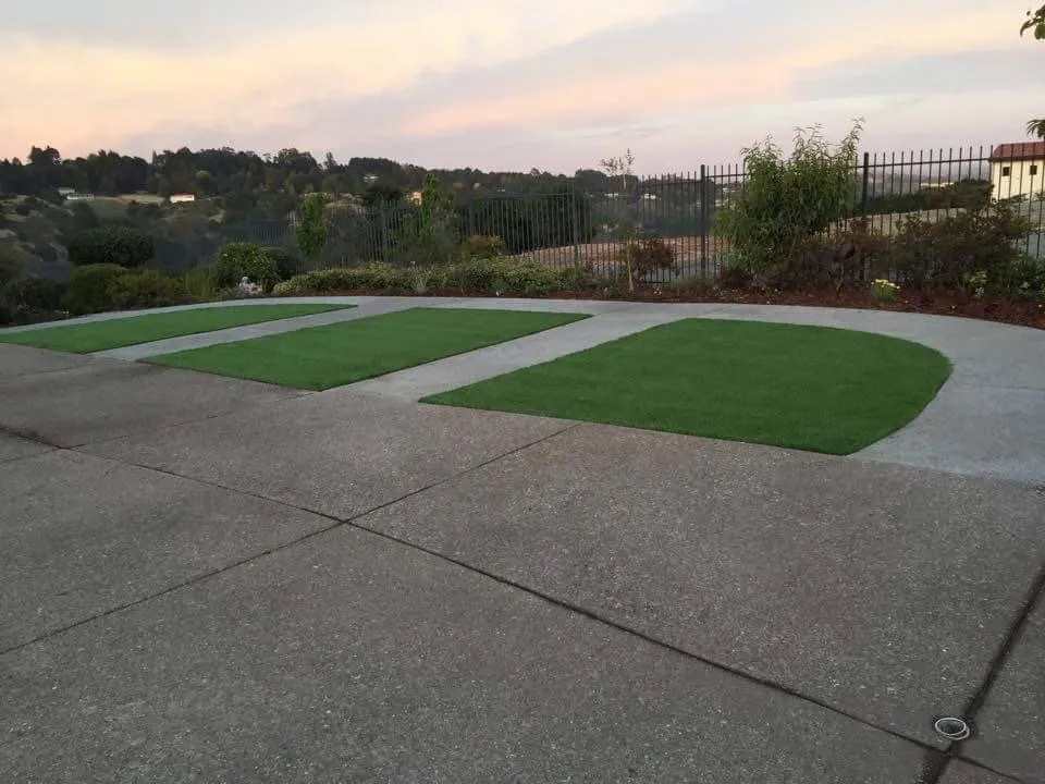 Reliable lawn care service experts serving Northglenn, CO - Oakland Tree Service