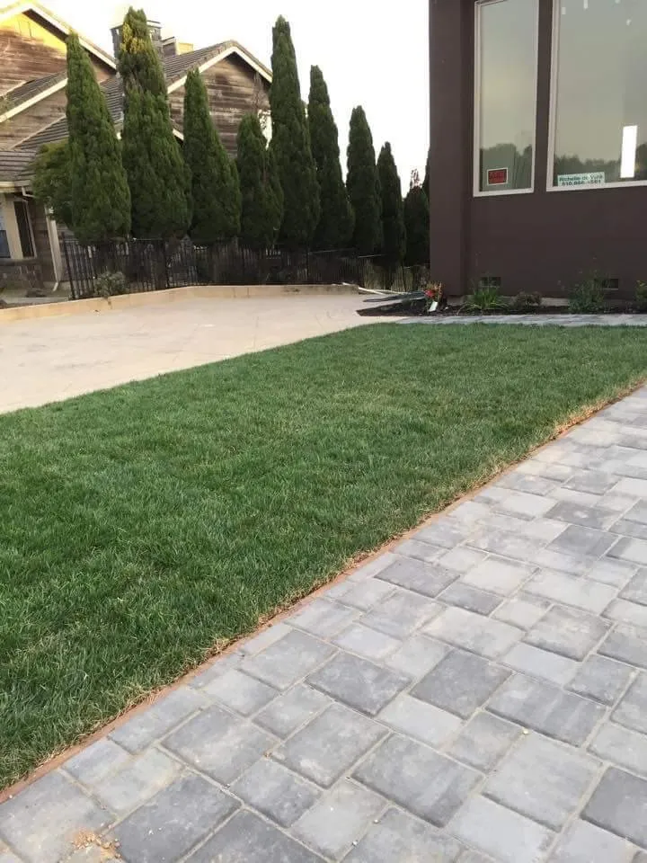 Custom lawn care service experts serving Northglenn, CO - Oakland Tree Service