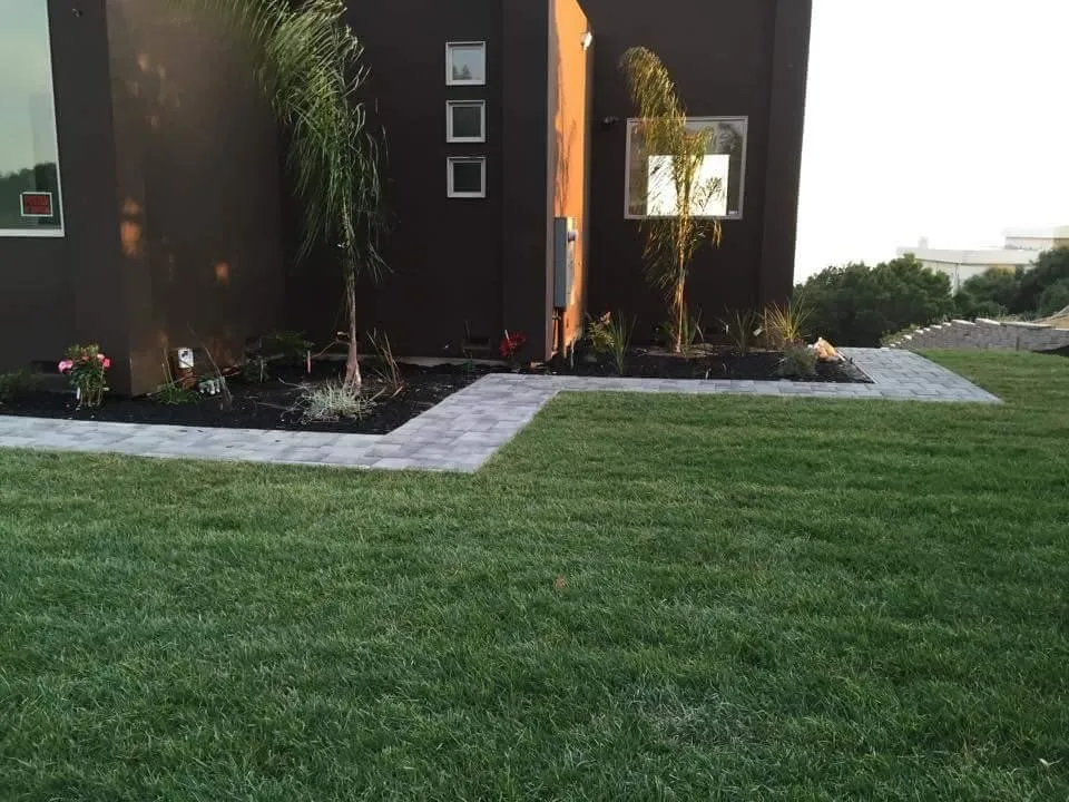 Top-rated yard maintenance in Northglenn, CO by Oakland Tree Service