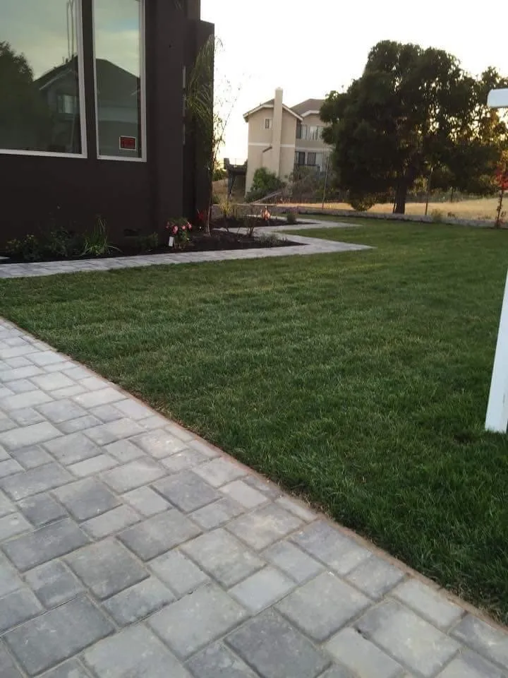 Top-rated lawn mowing service in Northglenn, CO by Oakland Tree Service