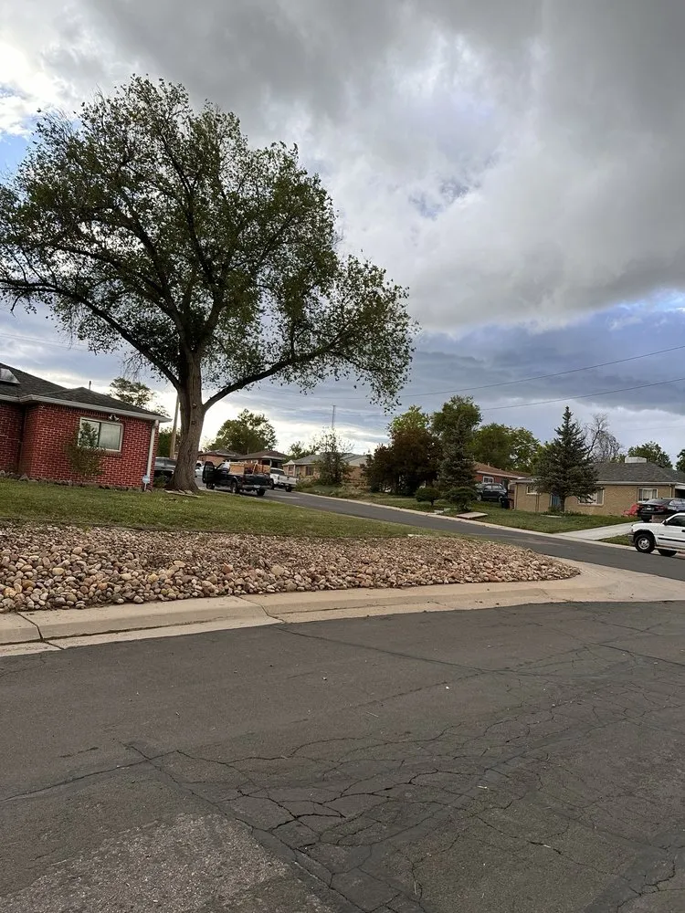 Trusted lawn care service experts serving Northglenn, CO - Oakland Tree Service