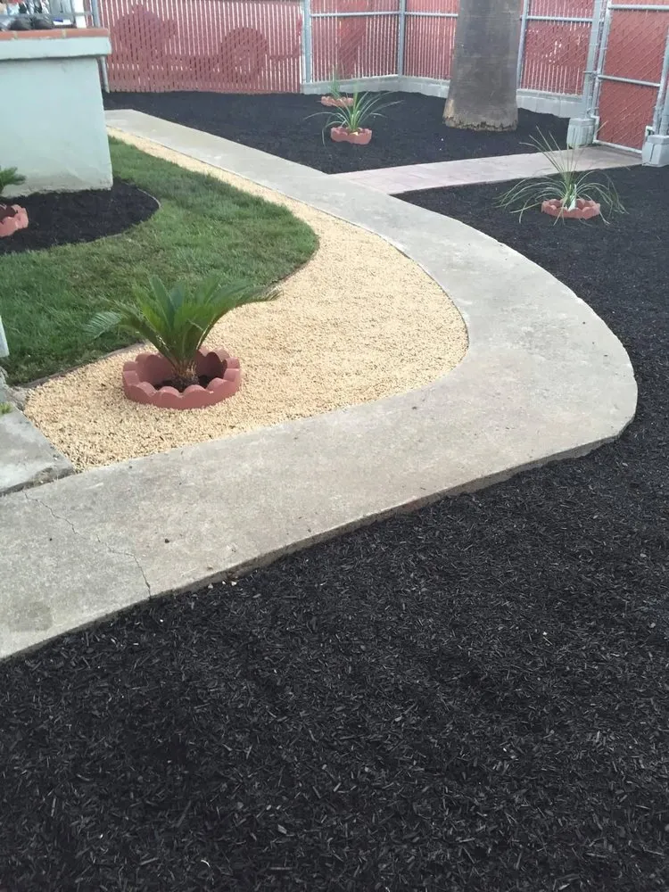 Expert landscaping services in Northglenn, CO by Oakland Tree Service