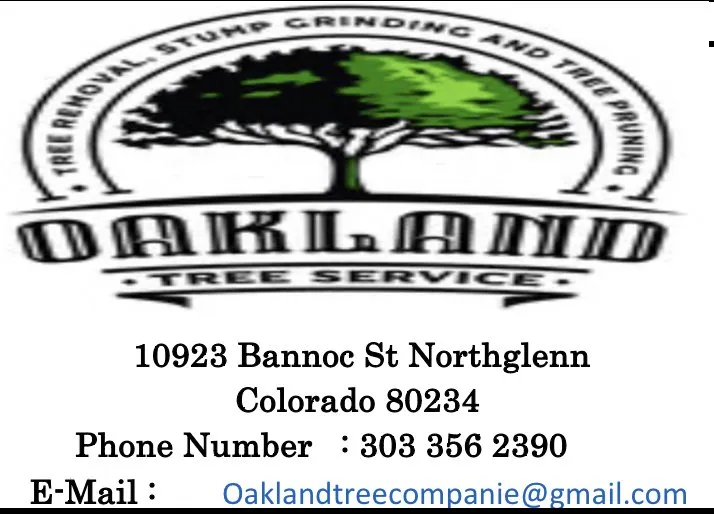 Custom outdoor landscaping for beautiful yards across Northglenn, CO - Oakland Tree Service