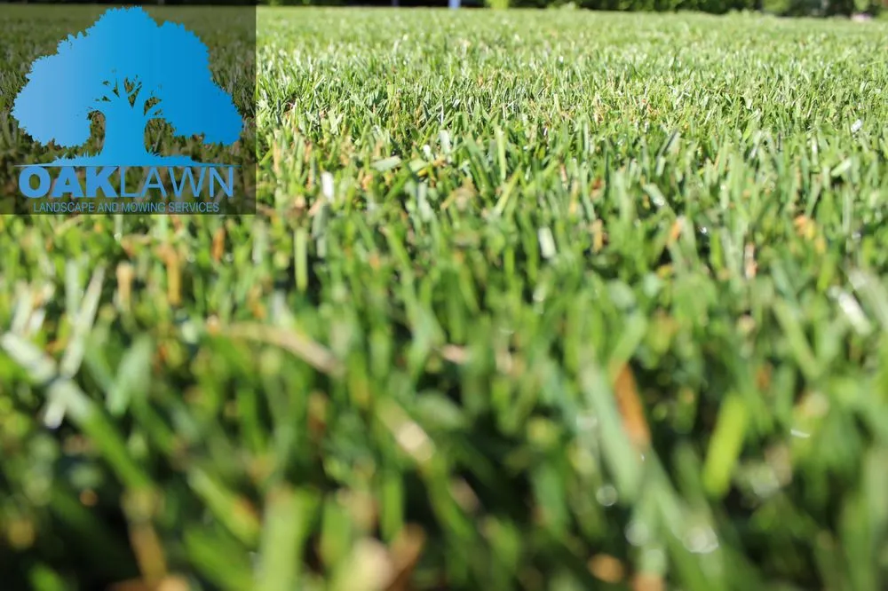 Affordable outdoor landscaping near you in Elizabethtown, KY by OAKLAWN Landscape and Mowing Services