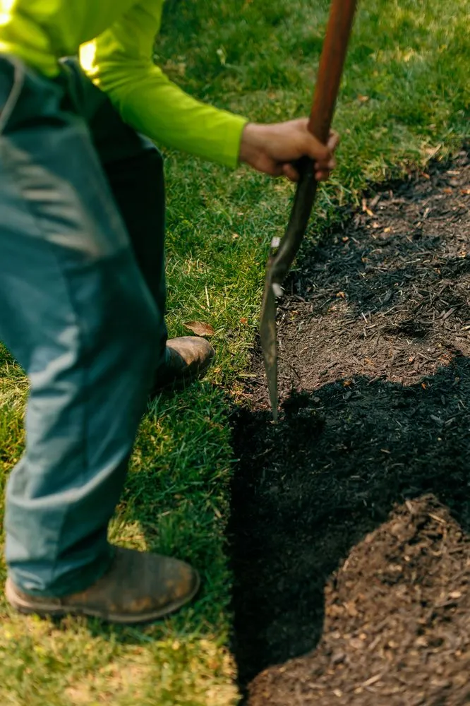 Expert lawn care service in Highland, MD by Oaklawn Landscaping