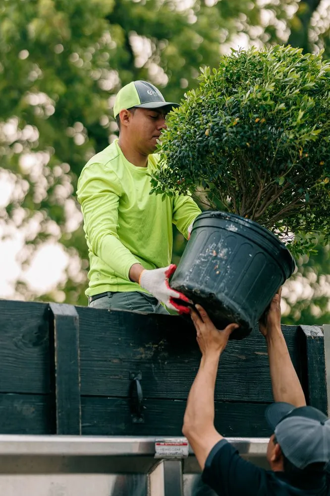 Expert landscape installation in Highland, MD - Oaklawn Landscaping