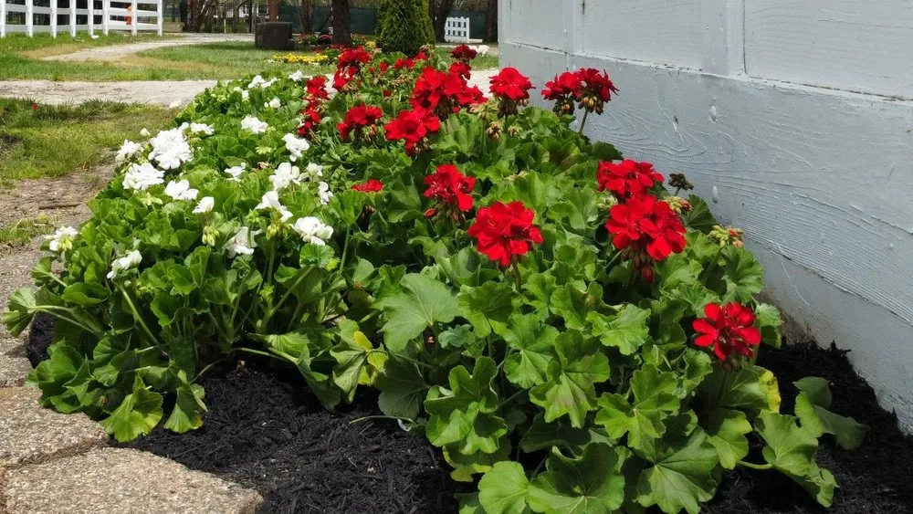 Reliable garden landscaping in Highland, MD - Oaklawn Landscaping