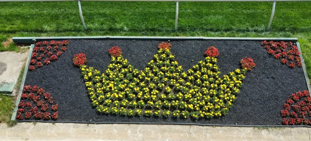 Affordable landscape installation experts serving Highland, MD - Oaklawn Landscaping