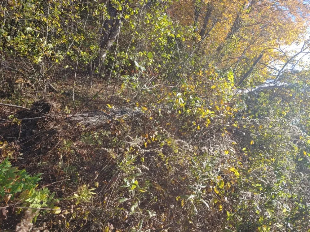 Top-rated residential landscaping for outdoor upgrades across Farmington, NH - Oakleaf Landscaping & Tree Maintenance