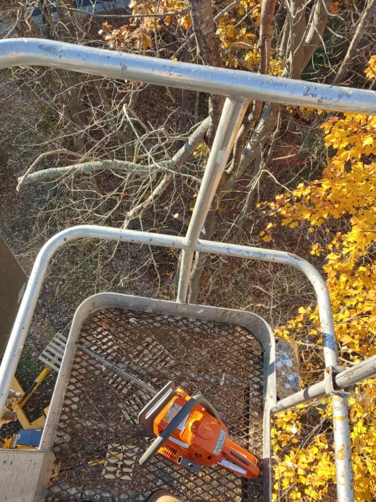 Expert lawn mowing service for outdoor upgrades in Farmington, NH by Oakleaf Landscaping & Tree Maintenance