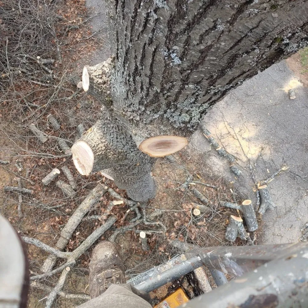 Local landscaping services for beautiful yards across Farmington, NH - Oakleaf Landscaping & Tree Maintenance