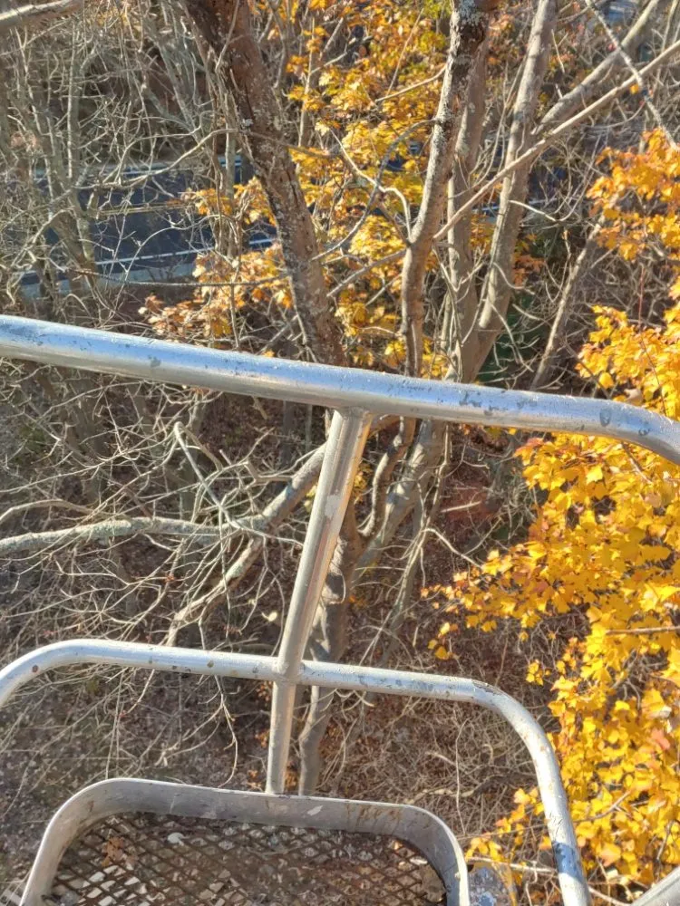 Reliable lawn care service with custom design in Farmington, NH by Oakleaf Landscaping & Tree Maintenance