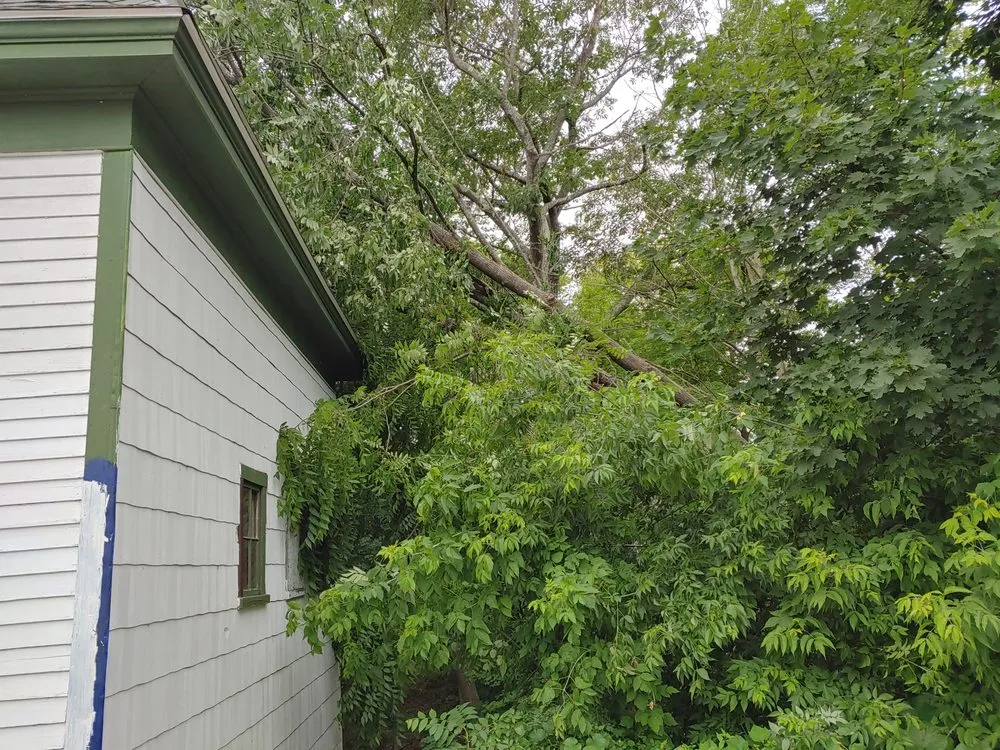 Affordable landscape installation for residential properties across Farmington, NH - Oakleaf Landscaping & Tree Maintenance