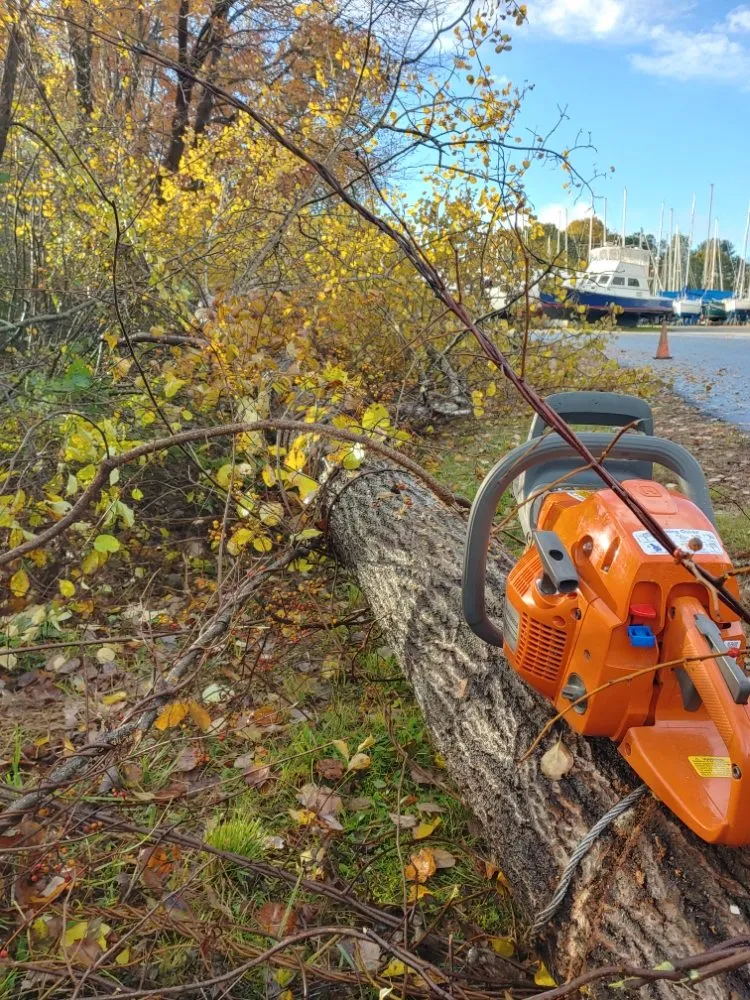 Local landscaping services in Farmington, NH - Oakleaf Landscaping & Tree Maintenance