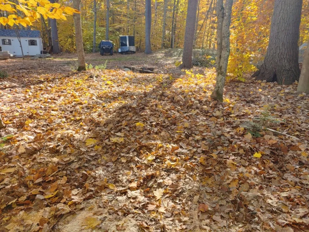 Expert lawn mowing service experts serving Farmington, NH - Oakleaf Landscaping & Tree Maintenance