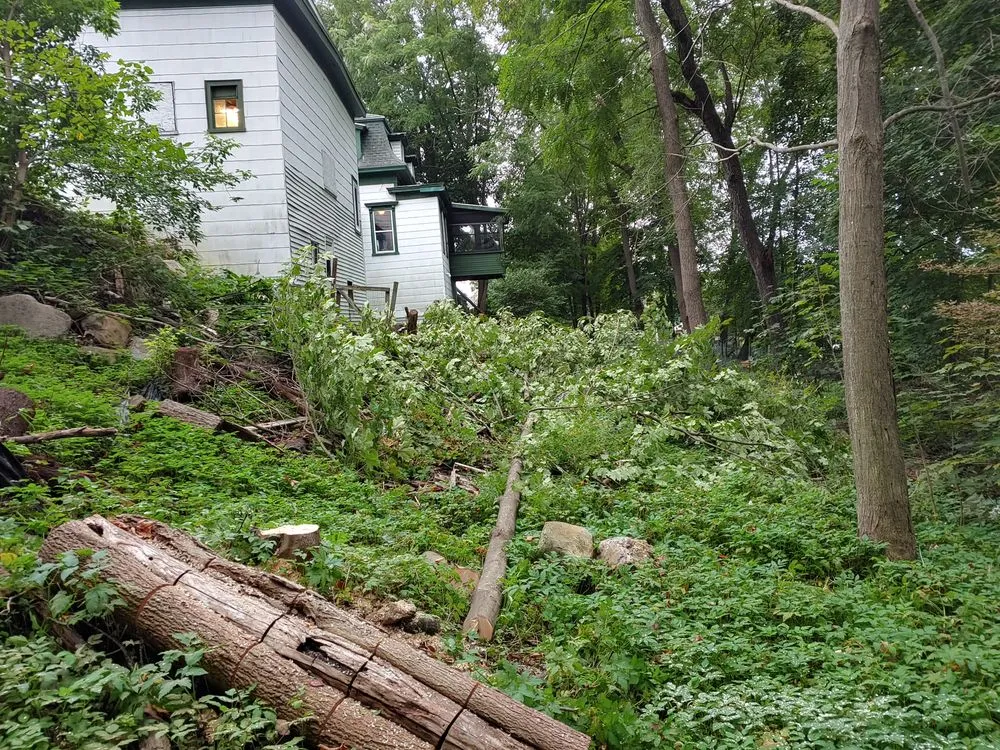 Trusted lawn mowing service in Farmington, NH - Oakleaf Landscaping & Tree Maintenance