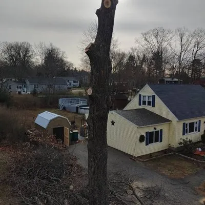 Oakleaf Landscaping & Tree Maintenance