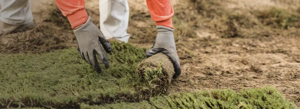 Expert landscape installation in Mobile, AL - Oakleigh Lawn And Landscape Association