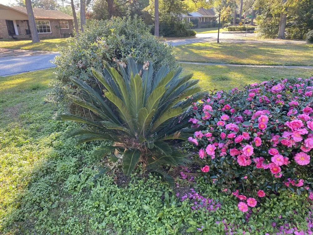 Trusted garden landscaping near you across Mobile, AL - Oakleigh Lawn And Landscape Association