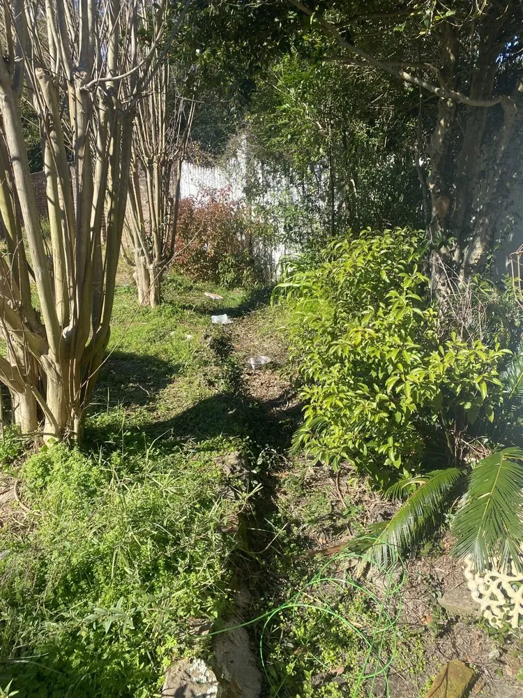 Trusted yard cleanup service in Mobile, AL by Oakleigh Lawn And Landscape Association