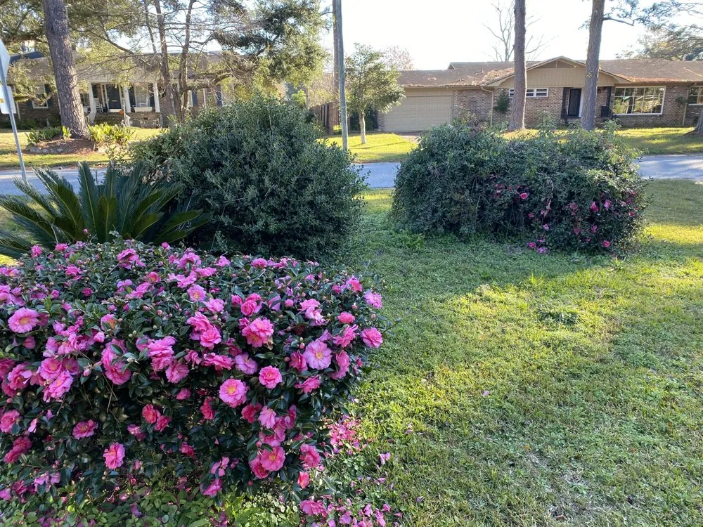Local landscaping services for beautiful yards across Mobile, AL - Oakleigh Lawn And Landscape Association