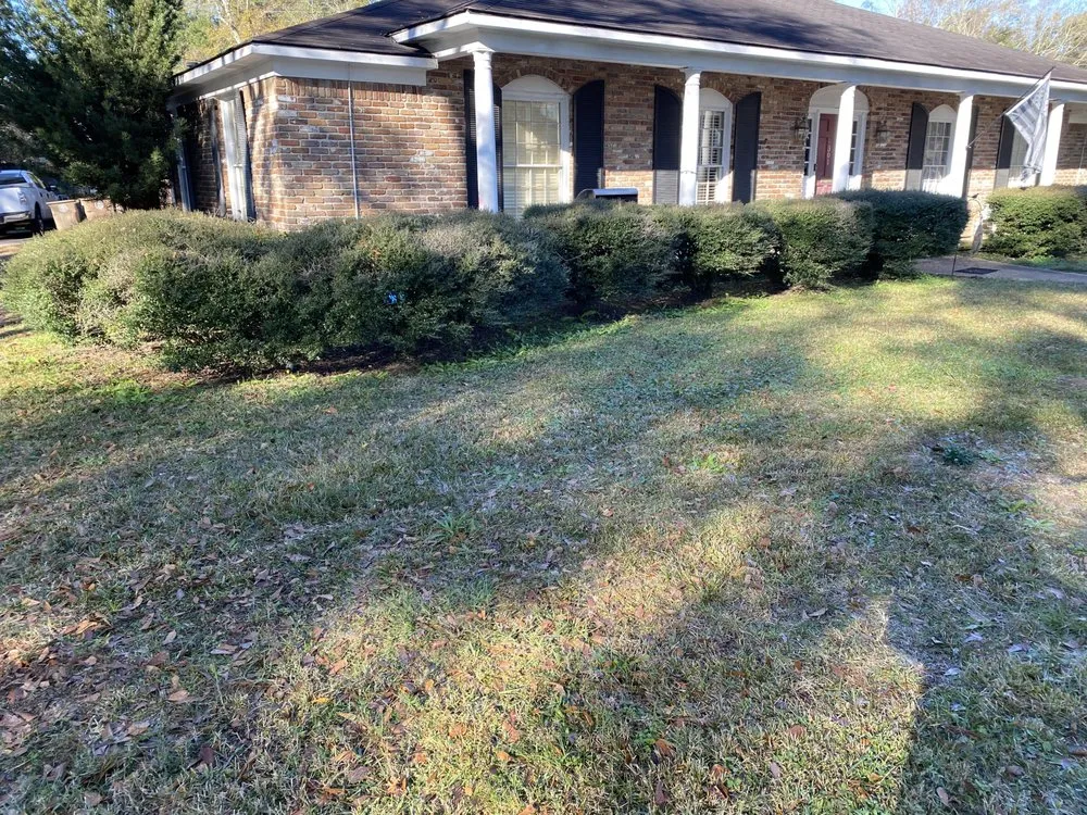 Trusted landscape installation in Mobile, AL by Oakleigh Lawn And Landscape Association