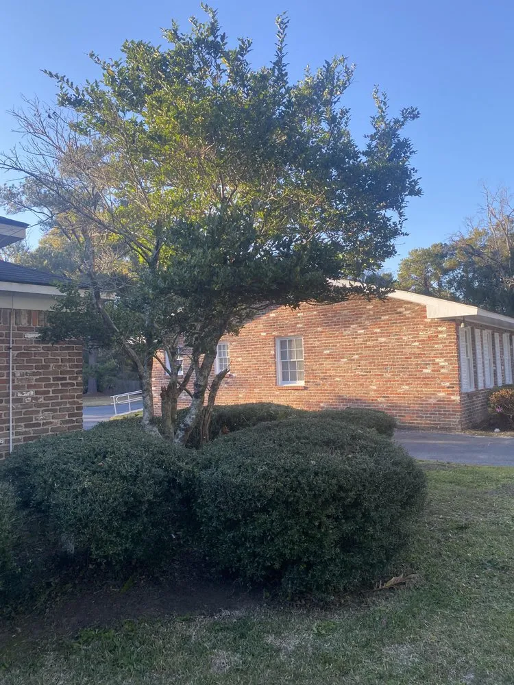 Reliable outdoor landscaping for beautiful yards in Mobile, AL by Oakleigh Lawn And Landscape Association