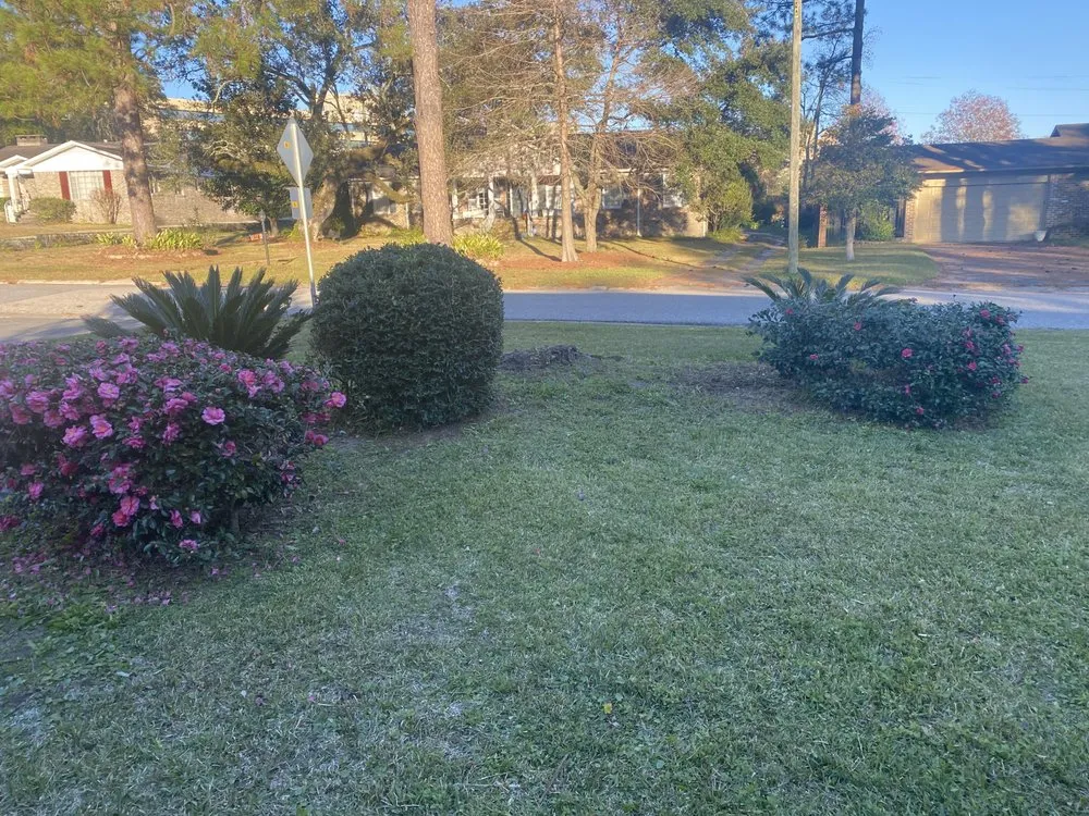 Custom yard cleanup service for homes in Mobile, AL by Oakleigh Lawn And Landscape Association