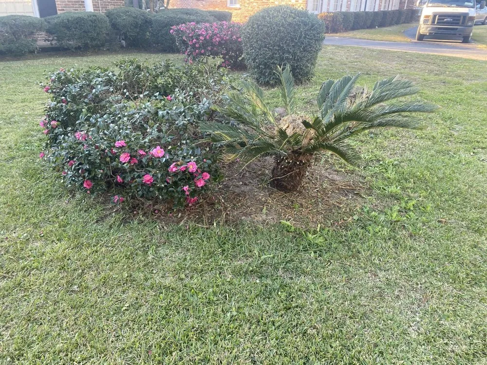 Custom outdoor landscaping with custom design in Mobile, AL by Oakleigh Lawn And Landscape Association