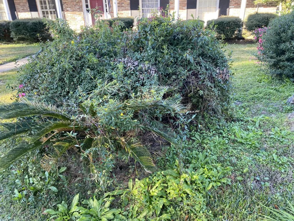 Custom landscape design in Mobile, AL by Oakleigh Lawn And Landscape Association