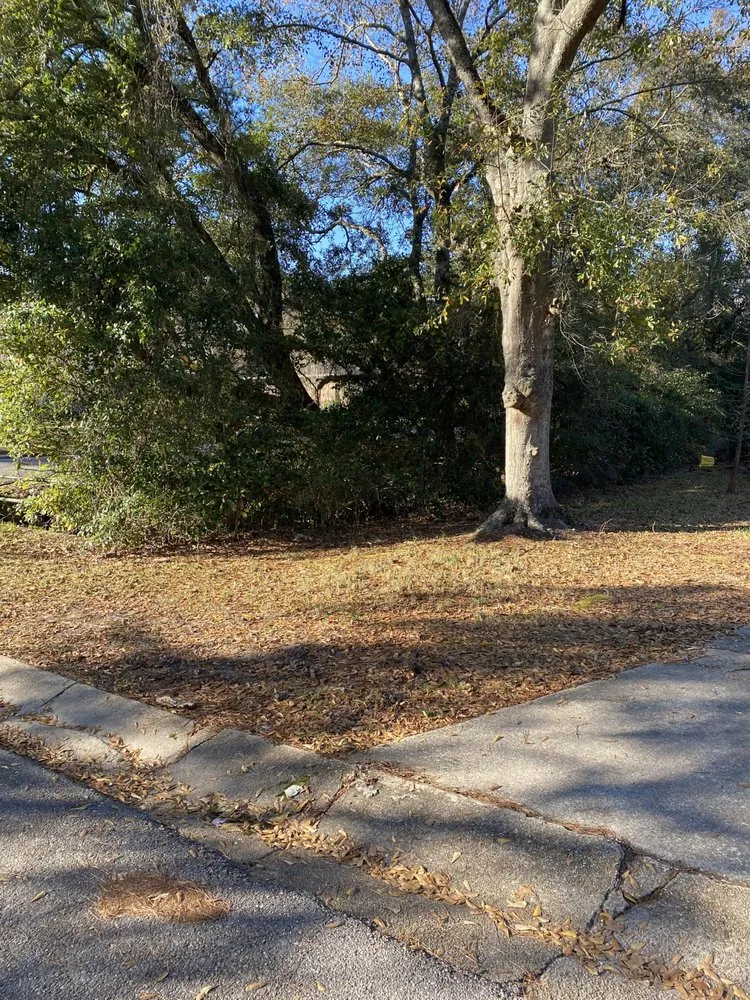 Custom lawn care service in Mobile, AL by Oakleigh Lawn And Landscape Association