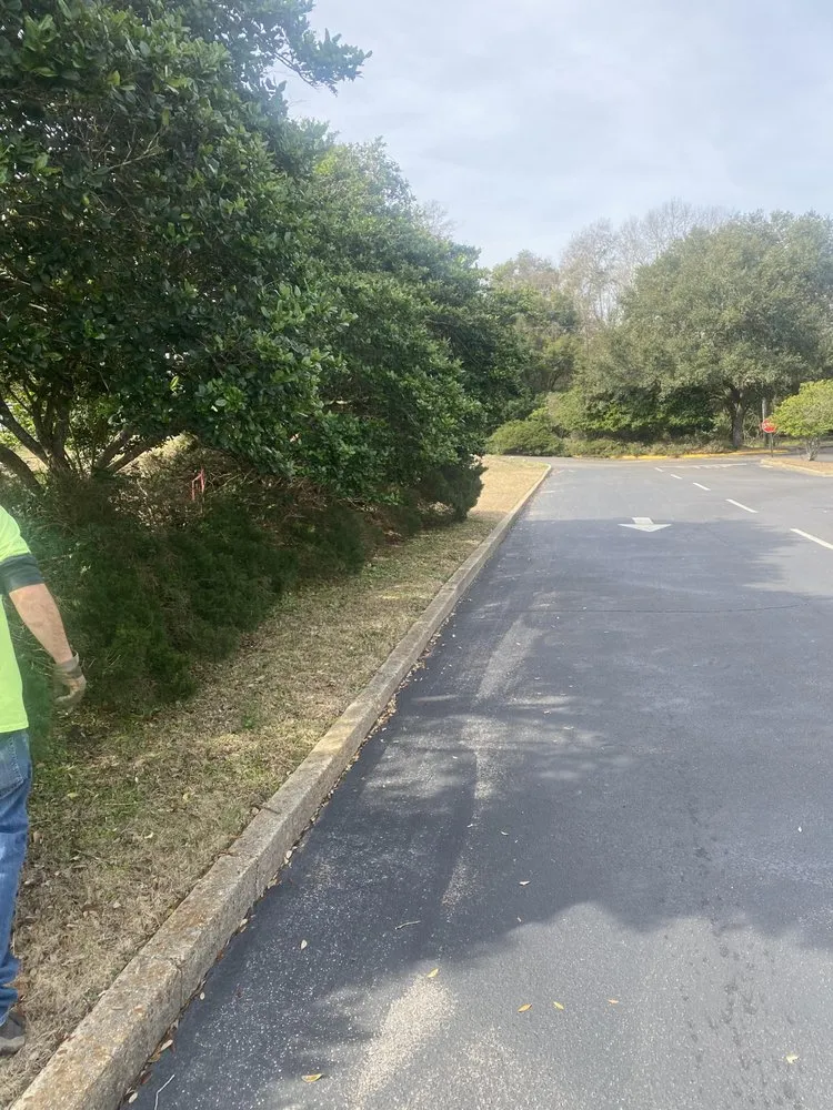 Local yard maintenance in Mobile, AL - Oakleigh Lawn And Landscape Association