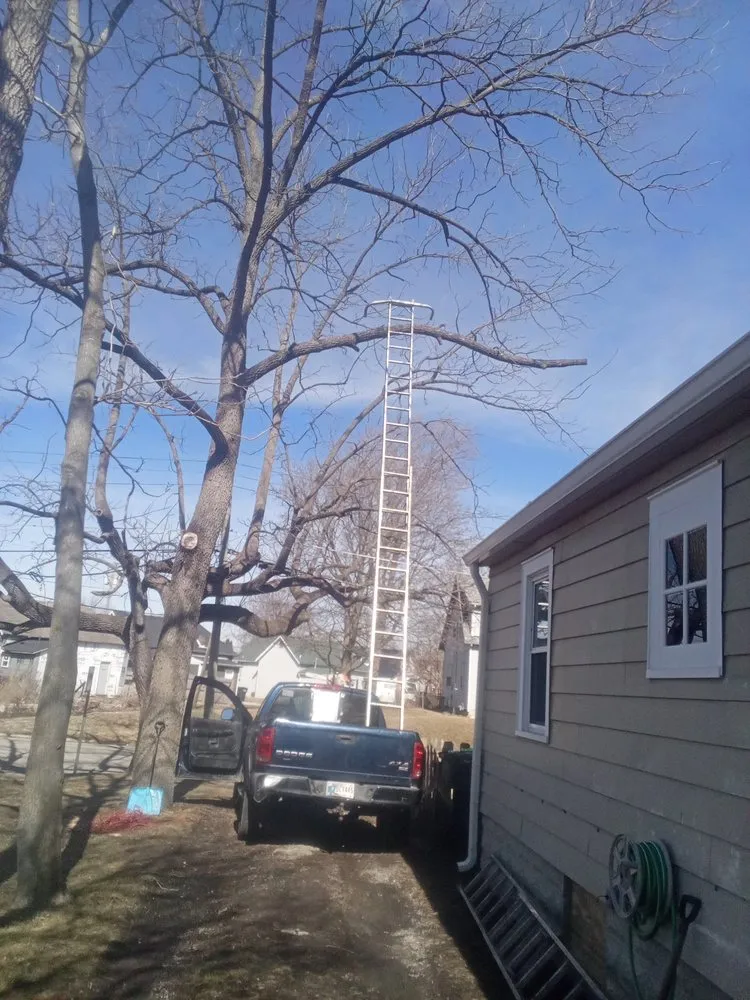 Custom yard maintenance in Muncie, IN by Oakleighs Affordable Handyman Service