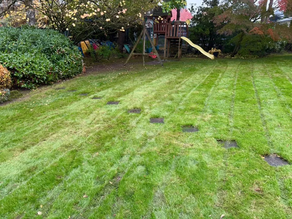 Affordable outdoor landscaping experts serving Salem, OR - Oakmark